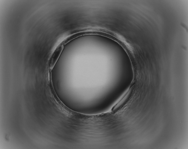 X0000091231368200708301506