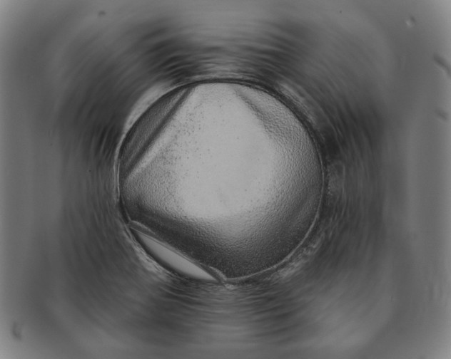 X0000091231370200708301506