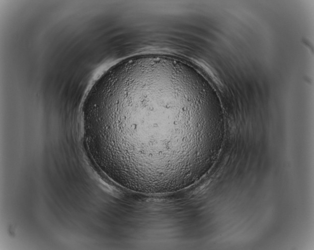 X0000091231371200708301506