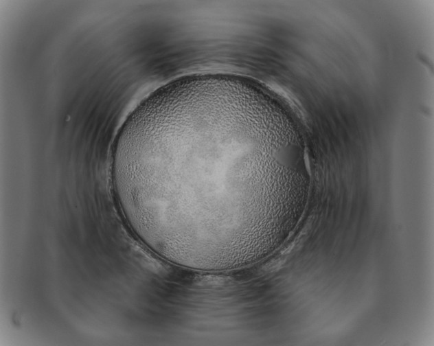 X0000091231374200708301506