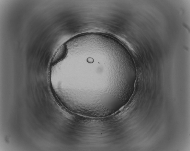 X0000091231375200708301506