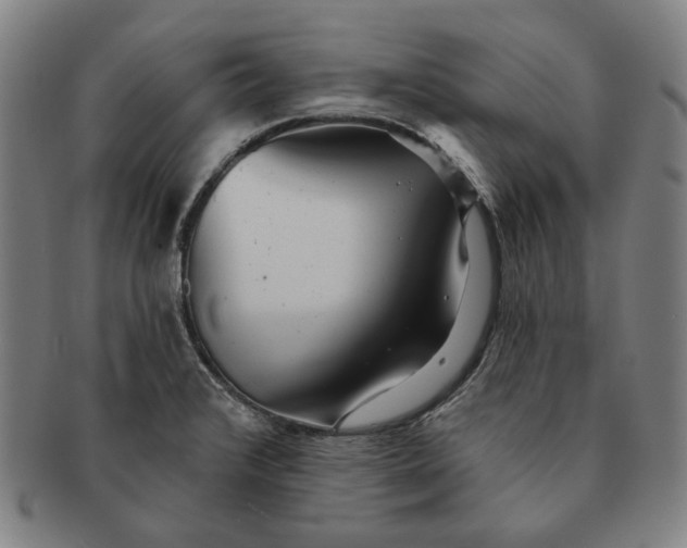 X0000091231376200708301506