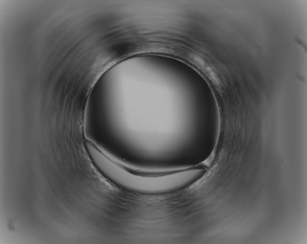 X0000091231377200708301506