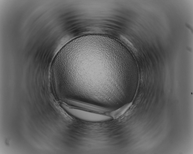 X0000091231378200708301506