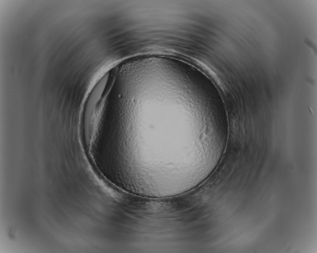 X0000091231379200708301506