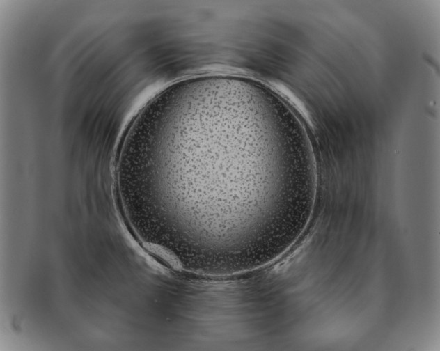 X0000091231381200708301506
