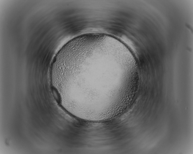 X0000091231382200708301506