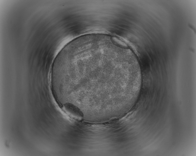 X0000091231383200708301506