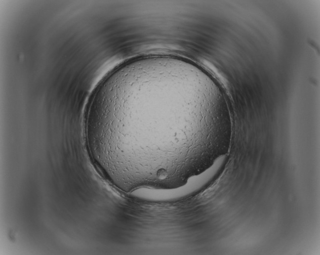 X0000091231384200708301506