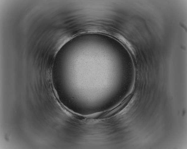 X0000091231385200708301506