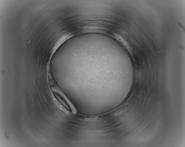 X0000091231386200708301506