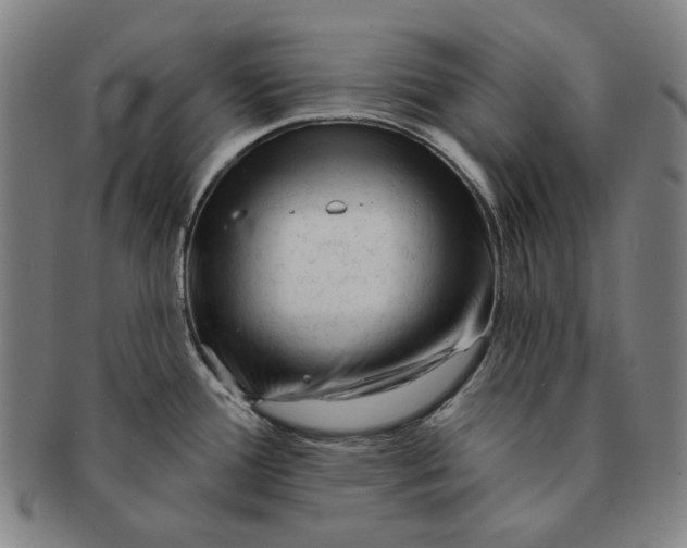 X0000091231388200708301506
