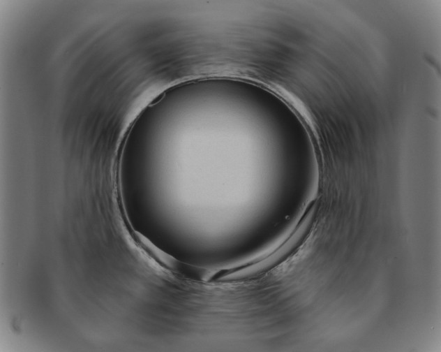 X0000091231389200708301506