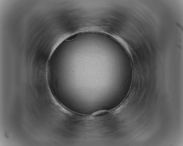 X0000091231390200708301505