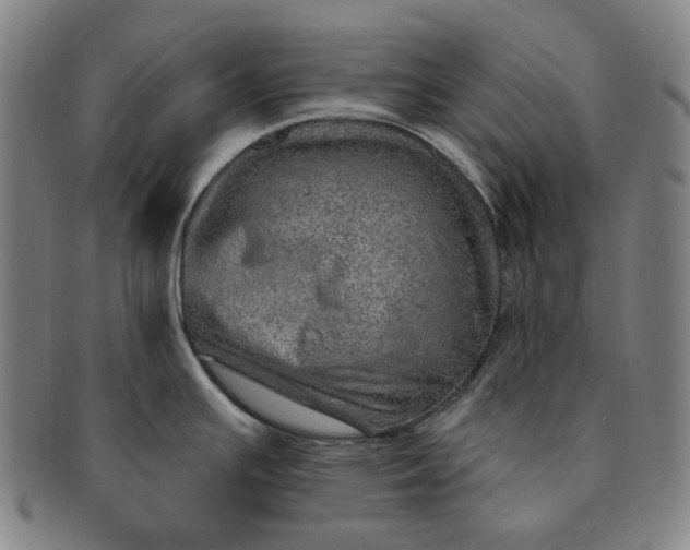 X0000091231391200708301505