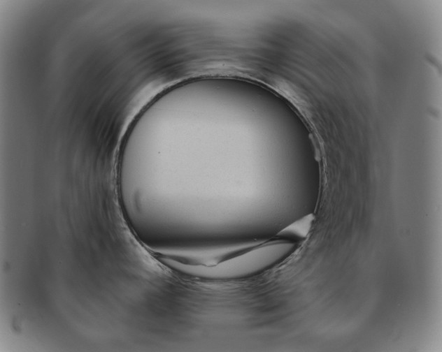 X0000091231392200708301505