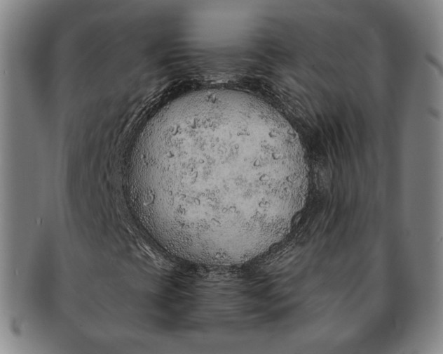 X0000091231393200708301504