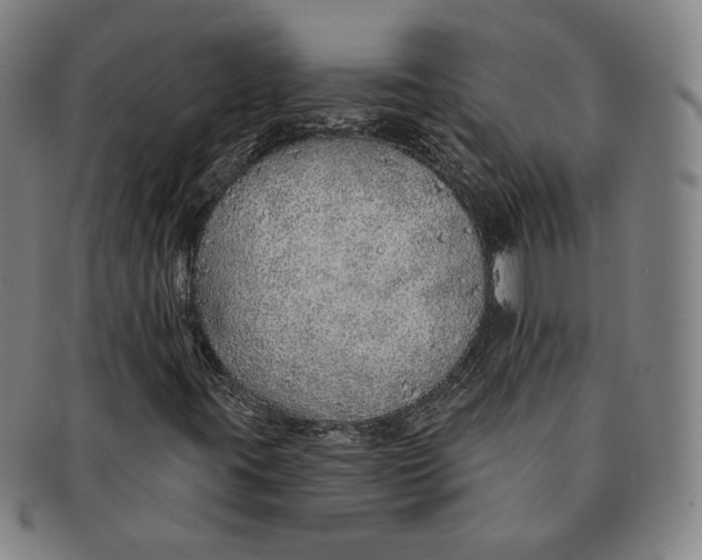 X0000091231395200708301504