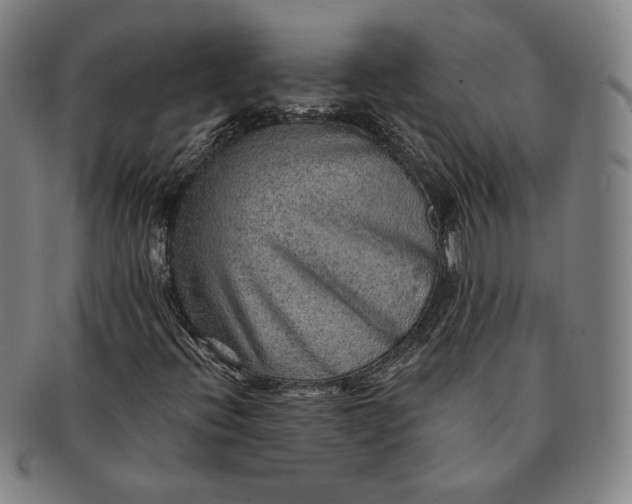 X0000091231396200708301505