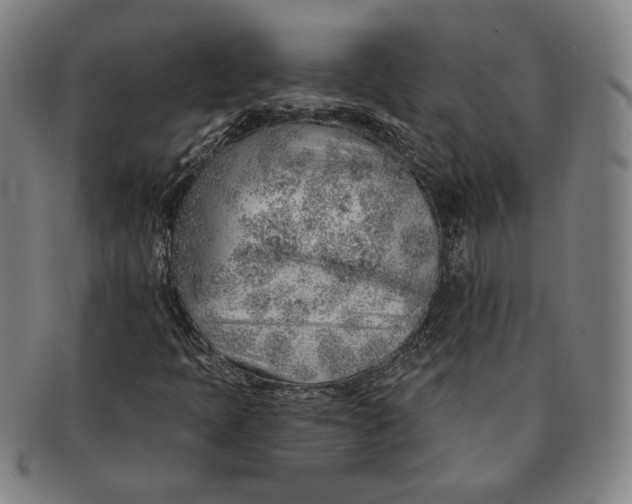 X0000091231397200708301505