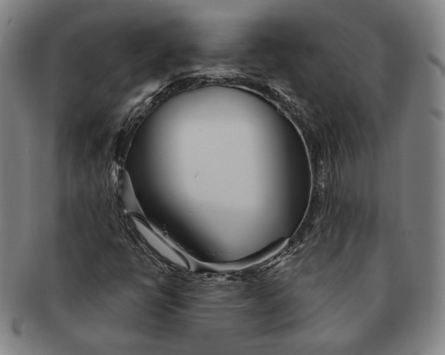 X0000091231398200708301505