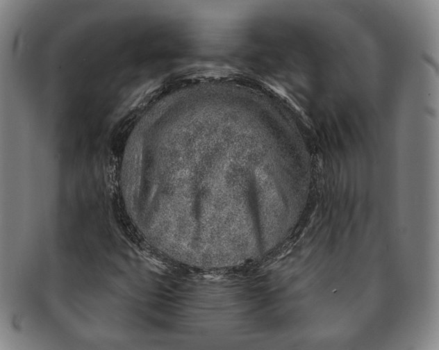 X0000091231399200708301505