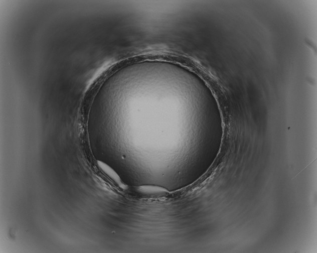 X0000091231400200708301505