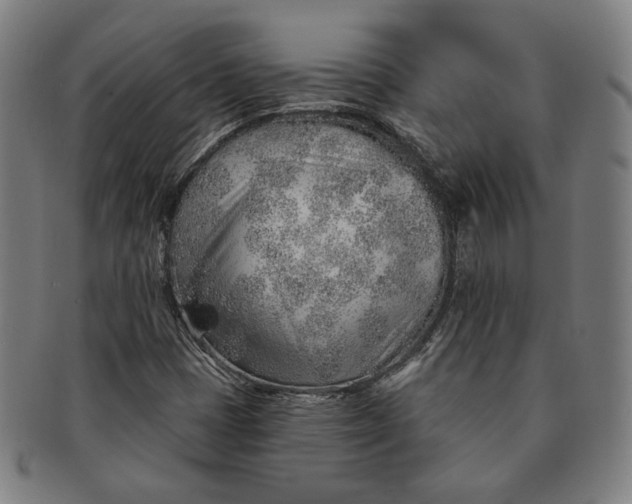 X0000091231401200708301505