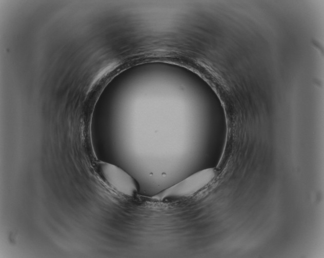X0000091231402200708301505