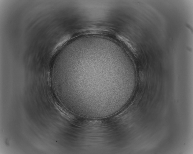 X0000091231403200708301505