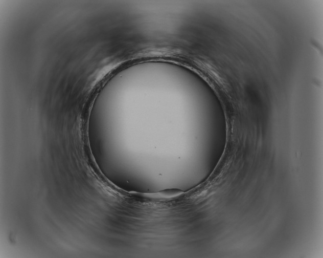 X0000091231404200708301505