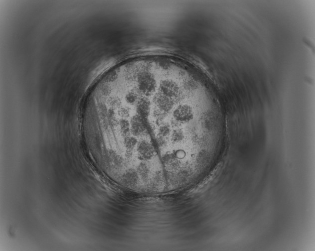 X0000091231405200708301505