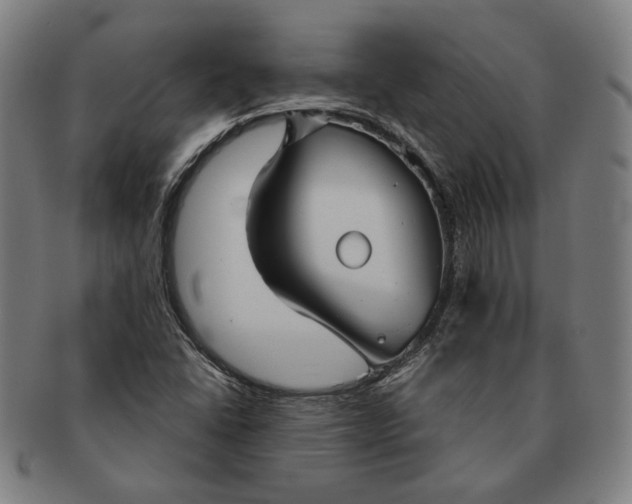 X0000091231406200708301505