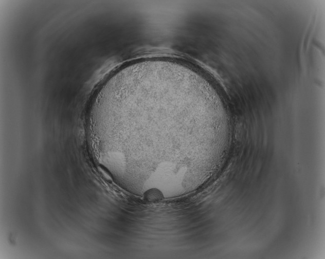 X0000091231407200708301505