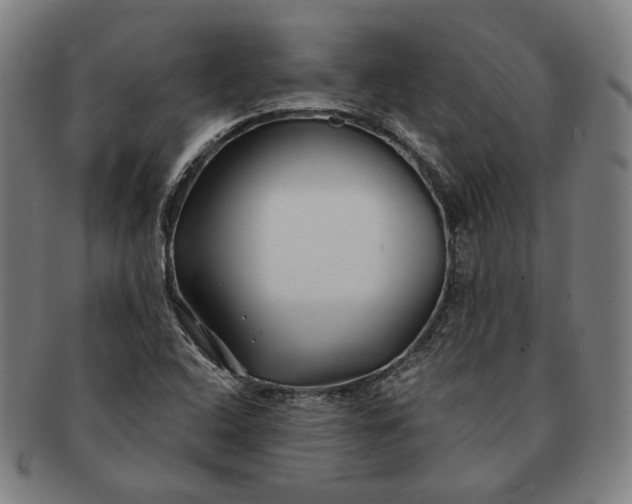 X0000091231408200708301505