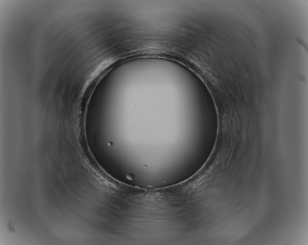 X0000091231410200708301505