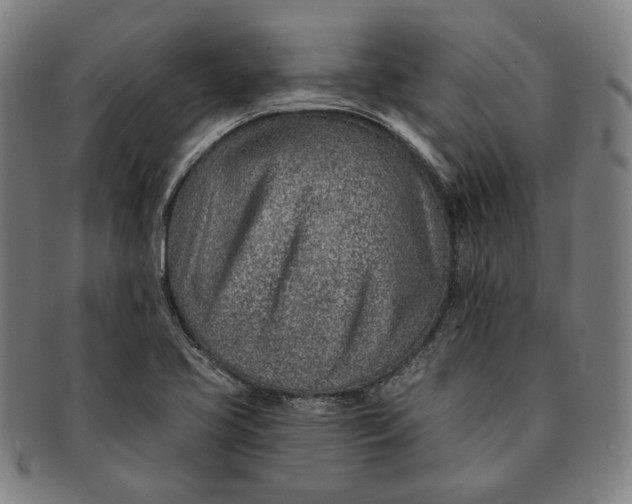 X0000091231413200708301505