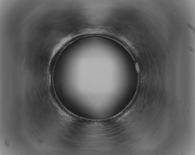 X0000091231414200708301505