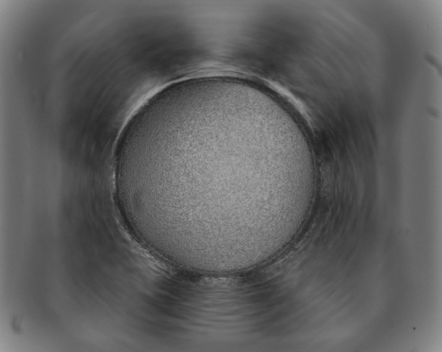 X0000091231415200708301505