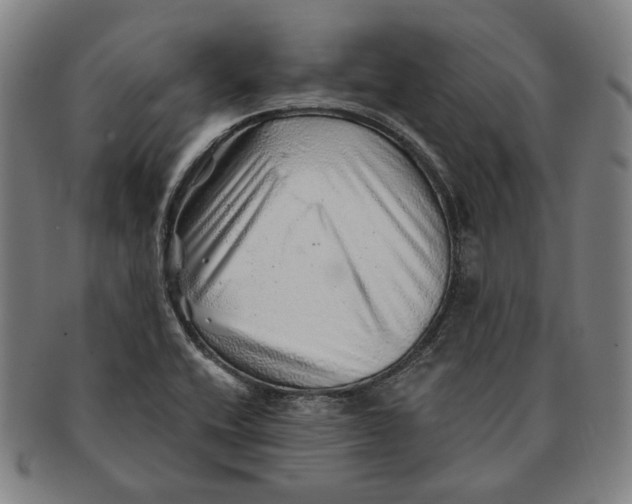 X0000091231416200708301505