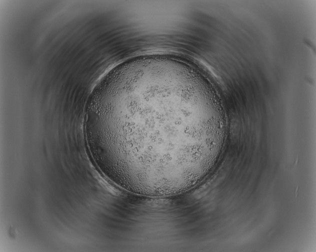 X0000091231417200708301505