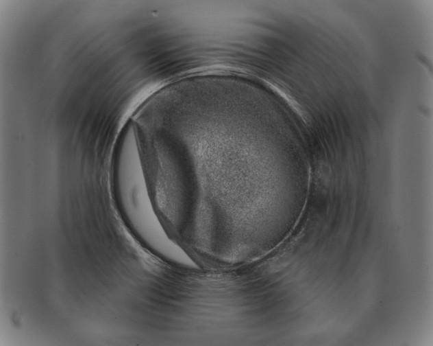 X0000091231418200708301505