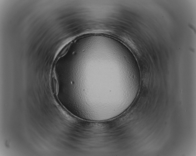X0000091231420200708301505