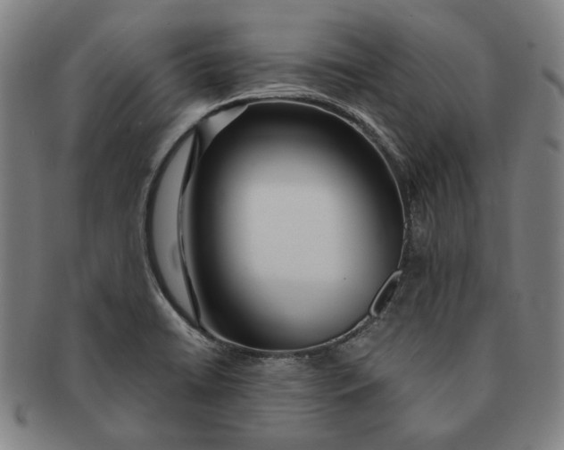 X0000091231422200708301505