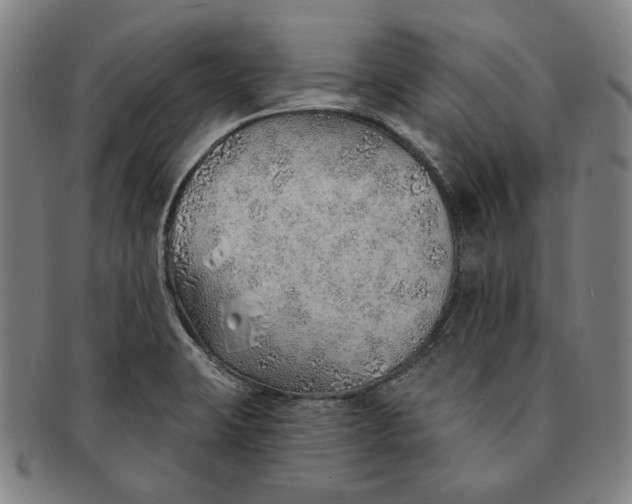 X0000091231423200708301505