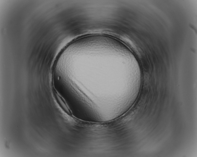 X0000091231424200708301505