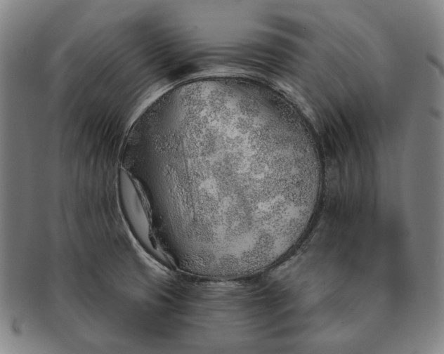 X0000091231425200708301505