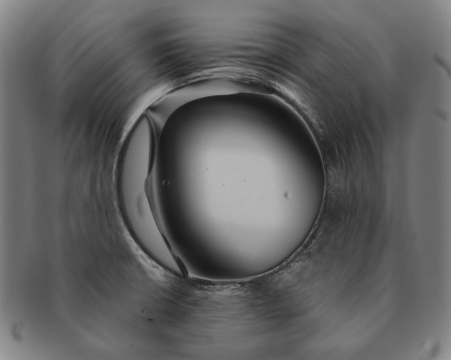 X0000091231426200708301505