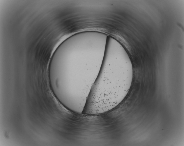 X0000091231428200708301505