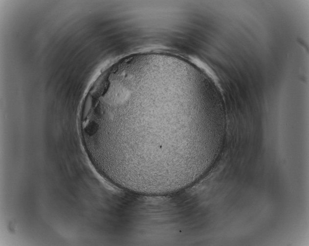 X0000091231429200708301505